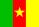 Drapeau Camerounais