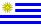 Drapeau Uruguayen